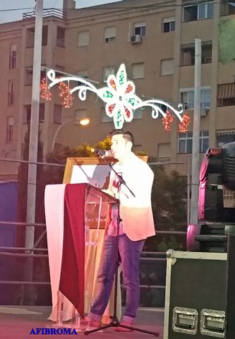 Feria en Honor Virgen del Carmen