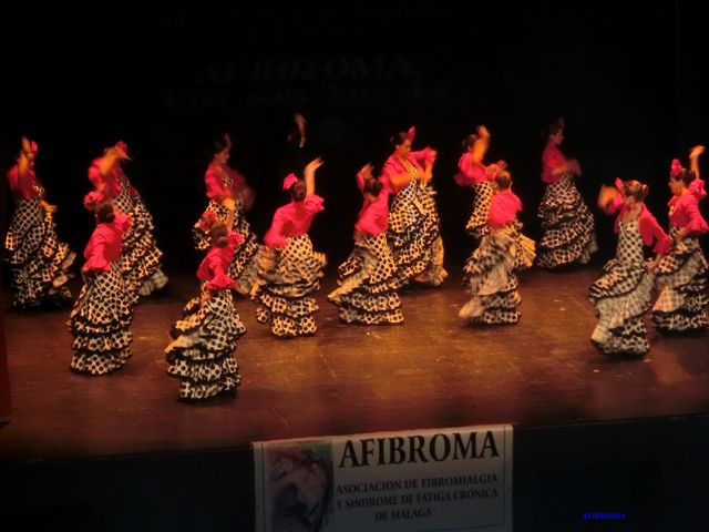 AFIBROMA una sola voz 4.0
