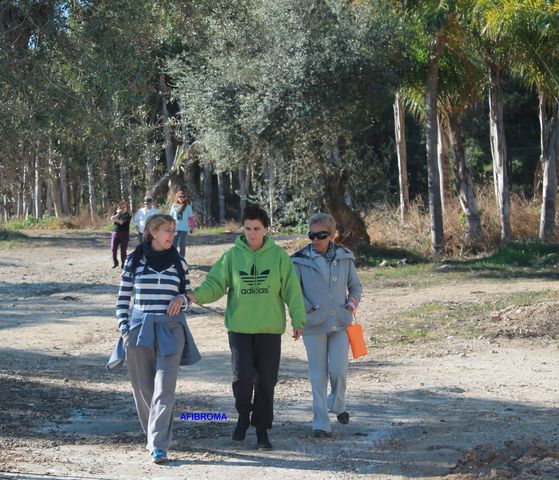 Día de Campo
