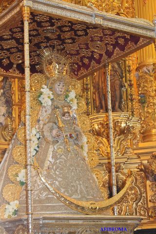 AFIBROMA en el Rocío
