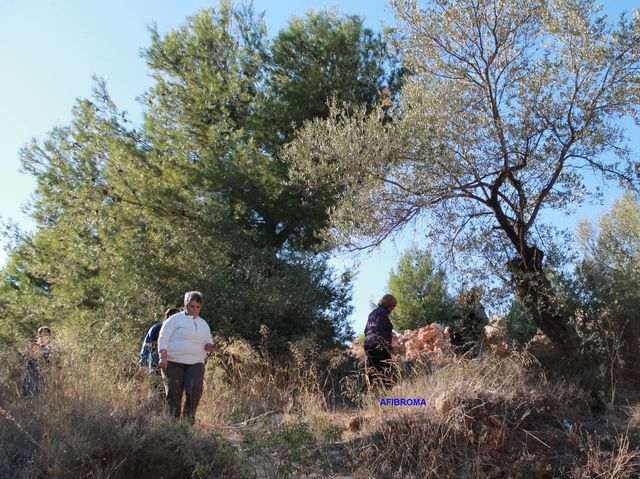 Día de Campo