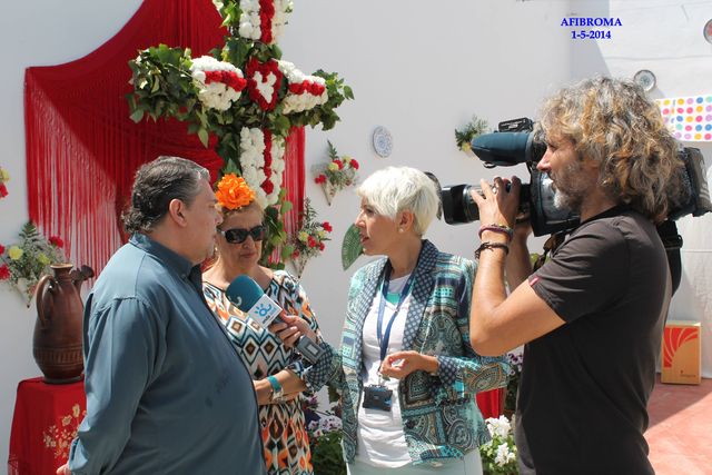 Cruz de Mayo 2014
