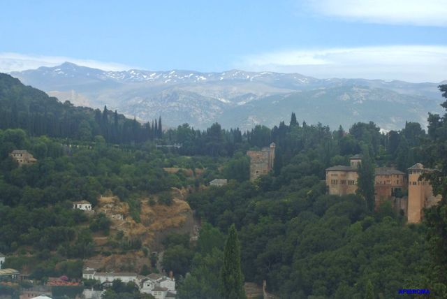 Excursión a Granada