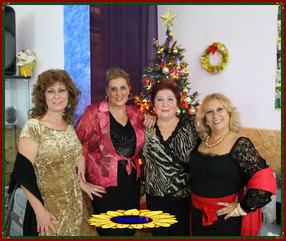 CENA NAVIDAD  AFIBROMA 2017