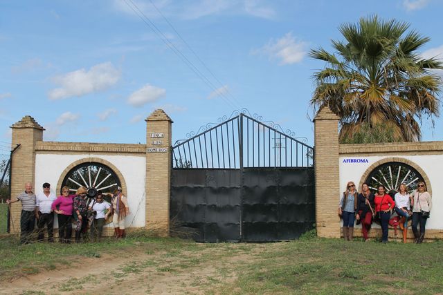 Peregrinación Rocío 2014