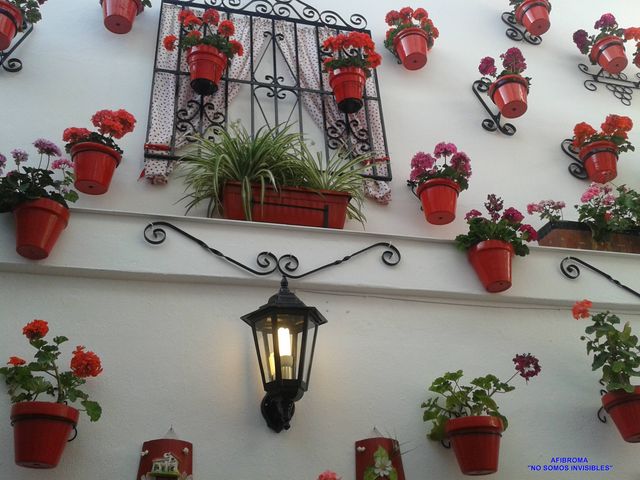 Corralones