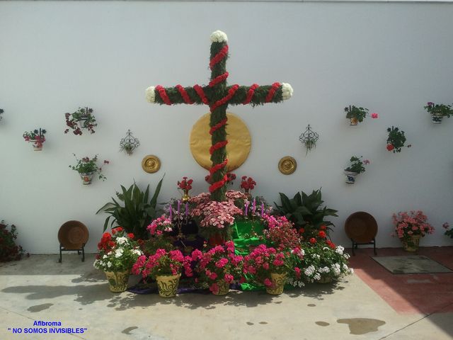 Sin Nombre