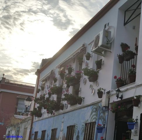 Semana Popular de los Corralones