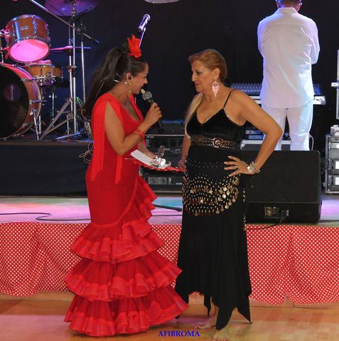 Caseta PTV